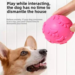 Vente directe usine : Jouet balle couineuse pour animaux de compagnie en TPR, élastique, flottante, lavable, activée par la voix, pour l'entraînement, la mastication et le broyage, avec motifs de pattes - Product Image 3