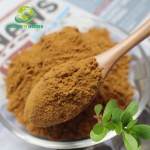 Semprotan kering alami kering ekstrak daun Monnieri <span class=keywords><strong>Bacopa</strong></span> bubuk <span class=keywords><strong>20</strong></span>% 50% 55% bacocasides - Product Image 1