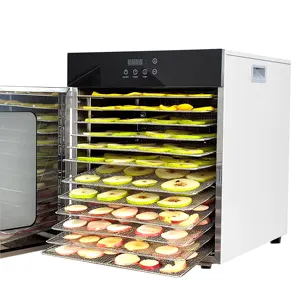 Deshidratador de alimentos para el hogar Control digital 12 bandejas de acero inoxidable deshidratador comercial de alimentos y frutas de doble carcasa
