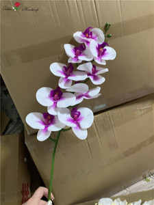 Orquídeas artificiales <span class=keywords><strong>de</strong></span> látex con 9 cabezales, orquídeas, flores decorativas, QSLH-CF093 - Product Image 5
