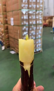 סוכר חדש קנה סוכר טבעי מתוק מסין - Product Image 4