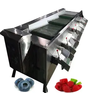 Cherry Calibrator Sorter Machine Cherry Calibrator Sorter Tomato Blackberry Cherry Grading Sorting Machine