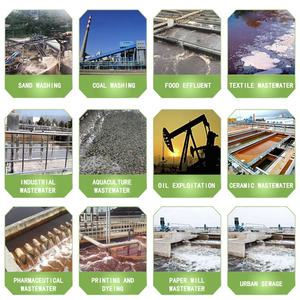 Prodotti chimici biologici assorbente polimero in polvere cationico poliacrilammide per il trattamento delle acque reflue liquide - Product Image 5