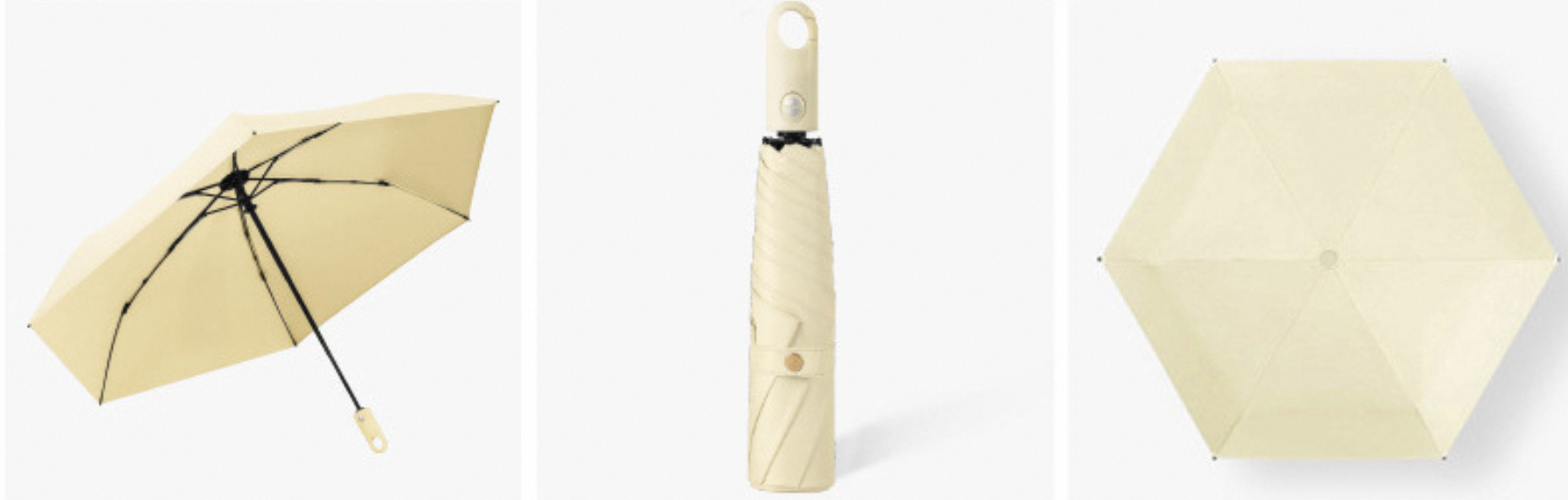 แอปริคอท