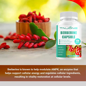 Prix de gros OEM capsules de berbérine prend en charge le cholestérol sain et aide à soutenir l'énergie cellulaire soutien capsules de berbérine - Product Image 2