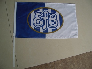 Drapeau à main pliable Tengxin SYQ-G147 en bois, imprimé numériquement, pour événements sportifs – Nouveauté 2024, vente chaude usine - Product Image 5