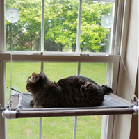 Produits pour chats de compagnie, hamac pour chat suspendu à la fenêtre en verre avec ventouse amovible