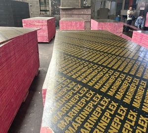 Compensato Rivestito in Plastica PP Verde 1220*2440*18MM, Listino Prezzi Compensato - Product Image 3