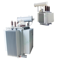 Transformateurs de distribution de puissance immergés dans l'huile monophasés et triphasés 630 kVA, 1600 kVA, 2500 kVA