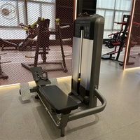Machine commerciale de pont de Pec d'entraînement de force de forme physique