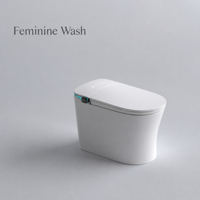 WC intelligent avec bidet intégré, chasse d'eau automatique, siège chauffant, cuvette allongée, évacuation en S, télécommande - Accessoire de salle de bain haut de gamme