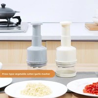 Handmatige knoflookhakker, mini handmatige chili-knoflook-wortelenpers, ui-groentesnijder, handmatige knoflookknijper