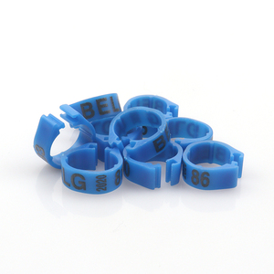 Bague <span class=keywords><strong>Oiseau</strong></span> 2023 nouvel anneau de bande de jambe d'<span class=keywords><strong>oiseau</strong></span> personnalisé 100 pièces anneaux en plastique formation d'<span class=keywords><strong>oiseau</strong></span> 300 pièces 1000 pièces anneau en plastique pour Birds24 mm - Product Image 5