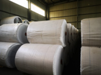 Tissu de renfort pour pneus en nylon 6 tissé trempé 100% 940Dtex/2 à haute résistance à la rupture