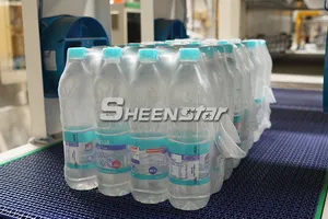 CE Automatic Pure Water Mineral Water PET Bottle Sport Caps Filling Capping Machine