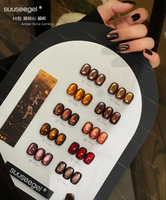Kit de vernis à ongles gel œil de chat super brillant, 24 et 10 couleurs/ensemble, brun rouge, carte de présentation en acrylique, vernis à ongles gel à faire tremper, kit de vernis à ongles gel