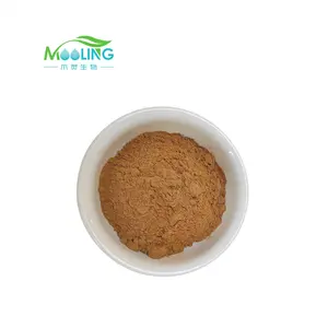 Groothandel Cholla Steel Extract Opuntia Ficus-Indica Extract Poeder Cactus Extract