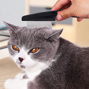 KingHon Anti <b>Flea</b> Short Dog <b>Comb</b> Stainless Steel Pet Hair Remover Brush Pet Grooming Tools <b>Cat</b> Products - Product Image 6