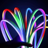 Néon Flexible LED Étanche Numérique DMX, Ruban Lumineux de Noël RVB RVBW, Ultra Fin 3mm 5mm 6mm, Personnalisé 12V 24V pour Enseignes