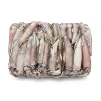 Tubes et tentacules de calmar congelés 60-100g IQF à faible glacage certifiés ISO, approvisionnement en vrac pour les importateurs nord-américains