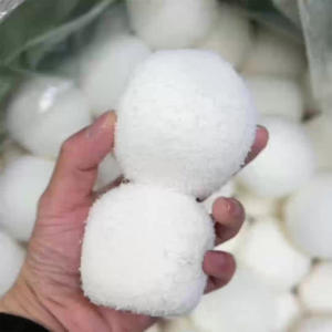 Éponge filtrante anti-salissures la plus vendue, boule absorbante de graisse et d'huile pour l'entretien de l'eau claire - Product Image 4