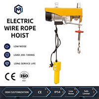 Rostfreier CE-zertifizierter Mini-Elektrohebezug mit automatischer Abschaltung und Fernbedienung für Werkstatt, Kran und Heimgebrauch
