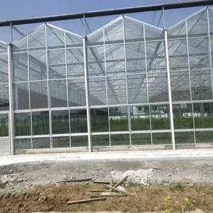 Pc Sheet photovoltaic Greenhouse Commercial Hydroponic Glass Tomato Growing System Large