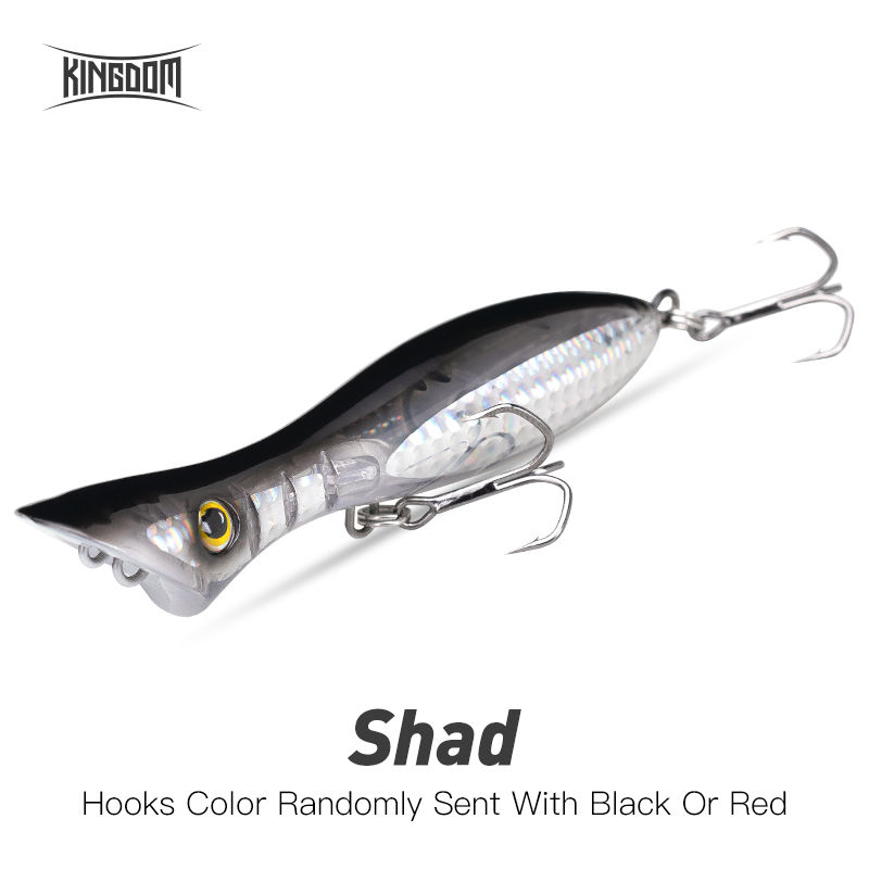 06 Shad