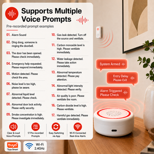 Sirena Wi-Fi Wale Tuya con Avisos de Voz para el Hogar, Anunciador de Voz Tuya - Product Image 6