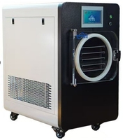 Lyophilisateur de table sous vide réfrigéré séchage de bonbons petite maison mini machine équipement de congélation pour lyophilisateur alimentaire