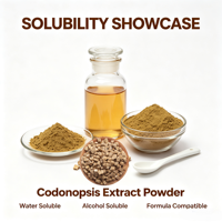 Extrait de Codonopsis en poudre, Extrait de Dangshen, Polysaccharides standardisés à 20%, UV, Végétal naturel, Vente en gros en vrac