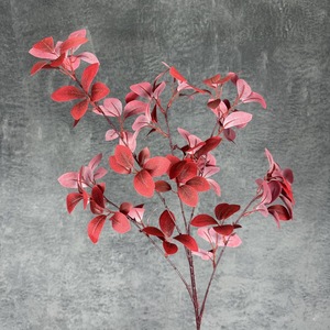 Foglie di Magnolia in Seta a 5 Rami, Stelo Singolo Colorato, Fogliame Artificiale per Decorazioni Matrimoniali e Domestiche, per San Valentino e Pasqua, Vendita all'Ingrosso - Product Image 6