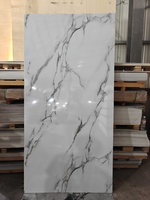 Panneau mural en plastique alternatif pour panneau UV en PVC pour décoration intérieure moderne imperméable facile à installer