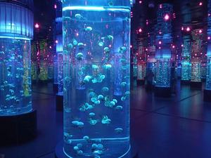2023 acrílico acuario pecera medusas acuario tanque - Product Image 2