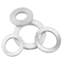 M8 M10 M12 M16 M20 Stainless Steel Plain Finish High Performance Double-sided Self-locking Washer