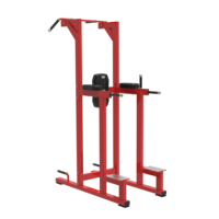 Professionnel Commercial taille Twister Fitness formateur Machine Gym plat banc torse Rotation broche chargé métal équipement épaule