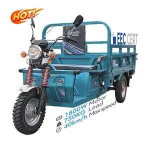 LB-3W3S 2024 Cheaper Strong Power 60V 1000W Electric Tricycle Cargo Electric Trike Tricycle For Cargo Electric Van For Global