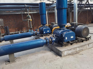 Sopladores de raíces para proyectos a escala piloto Flujo de aire y presión ajustables Cumpliendo con los requisitos de I + D en <span class=keywords><strong>ciencia</strong></span> ambiental - Product Image 5