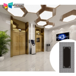 Foshan scala mobile 316 piastra in acciaio inox incisione lucidatura lamiere in acciaio inox porta dell'ascensore - Product Image 4