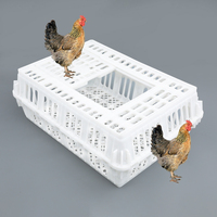 Caisse en plastique de conception spéciale 750*550*280 MM, surface facile à nettoyer, poulailler conique pour le transport