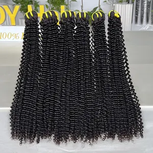 GDY Kinky Curly Human Hair Single Donor Raw Cuticle Aligned Indian Temple Hair Raw Unprocessed Double Drawn Virgin Hair Bundles