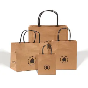 High Quality China Paper Bags Factory Supplied Kraft Paper Bag Craft Paper Shopping Bag