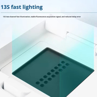 Équipement de système PCR quantitatif à fluorescence en temps réel Instrument d'amplification PCR Détecteur de peste porcine africaine Fluorescence