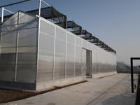 Haute qualité Venlo PC feuille Polycarbonate panneaux serre Agriculture serre pour arrière-cour