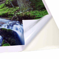 Vinyle autocollant imprimable de haute qualité, impression numérique personnalisée, vinyle pour enveloppement de voiture, décoration de véhicule, matériau pour autocollants de voiture