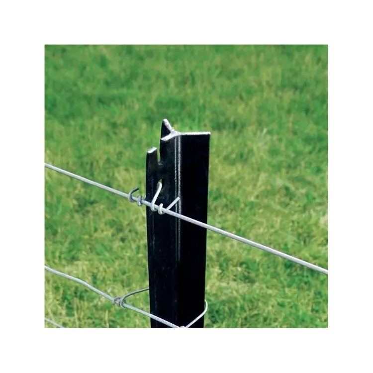 Steel fence posts/star pickets/Y type star fence post with hole