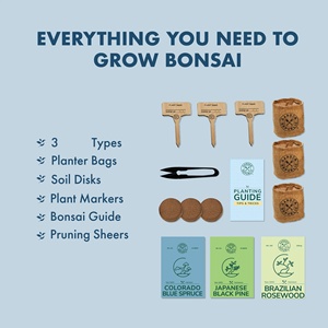 Kit <span class=keywords><strong>per</strong></span> Coltivazione Bonsai con Telaio in Metallo Verniciato a Polvere e Schermo Opzionale <span class=keywords><strong>per</strong></span> Patio, Giardino e Pergola Esterna - Product Image 5