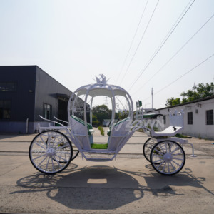 Elegante Carroza Eléctrica Decorada a Mano con Diseño de Calabaza, Color Personalizado, para Parques de Atracciones, Bodas y Fotografía - Product Image 2