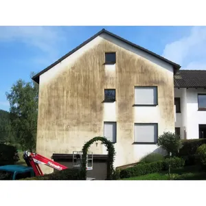Pulizia delle facciate a Waiblingen e Fellbach - Product Image 1