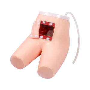 Modelo de entrenamiento de defecación asistida por enema de PVC avanzado DARHMMY para escuelas y hospitales de formación de enfermeras - Product Image 1